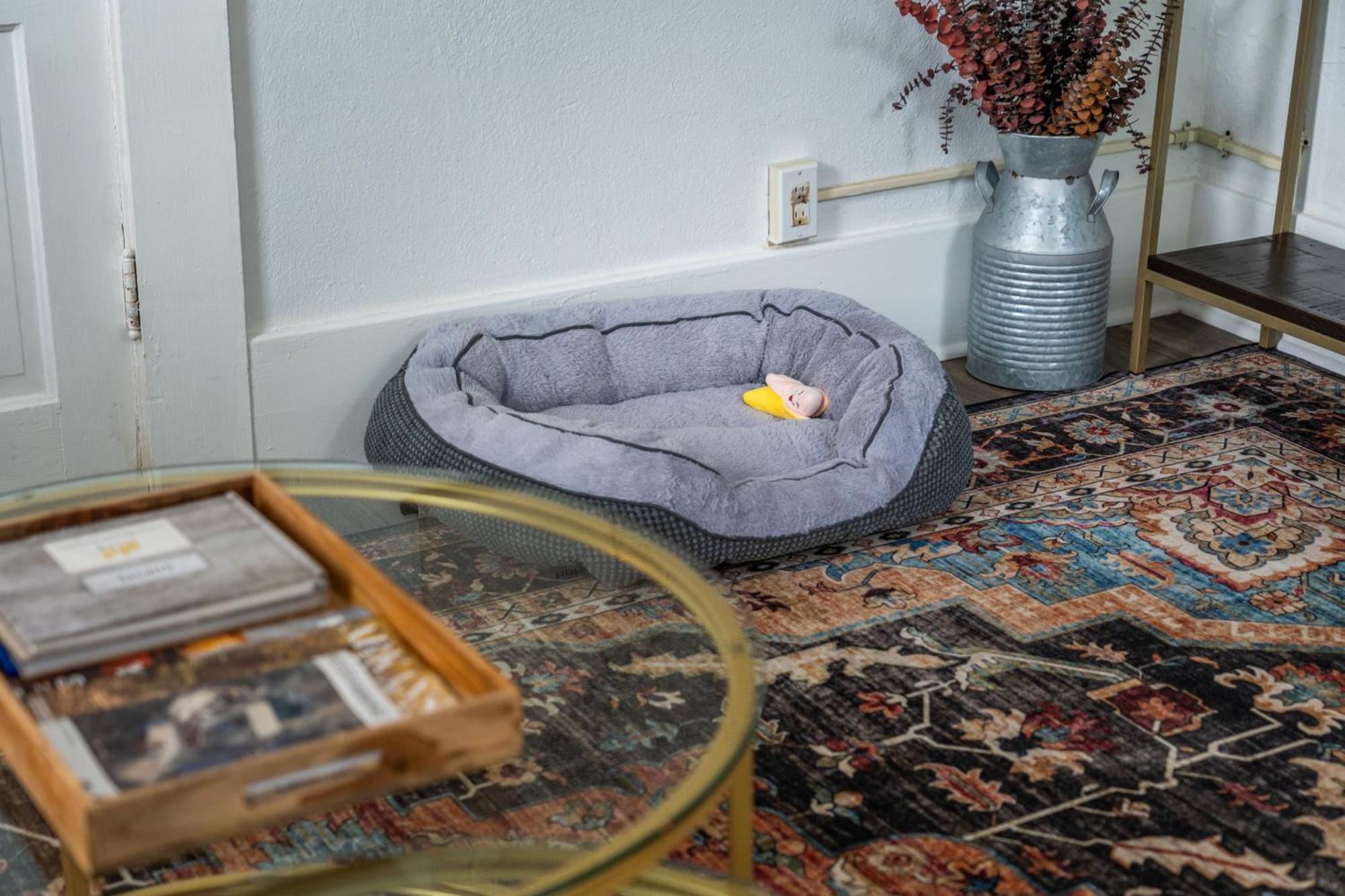 Cedar Blossom Bungalow Is A Cozy Getaway With A 5 Minute Walk To Downtown! Hot Springs Zewnętrze zdjęcie